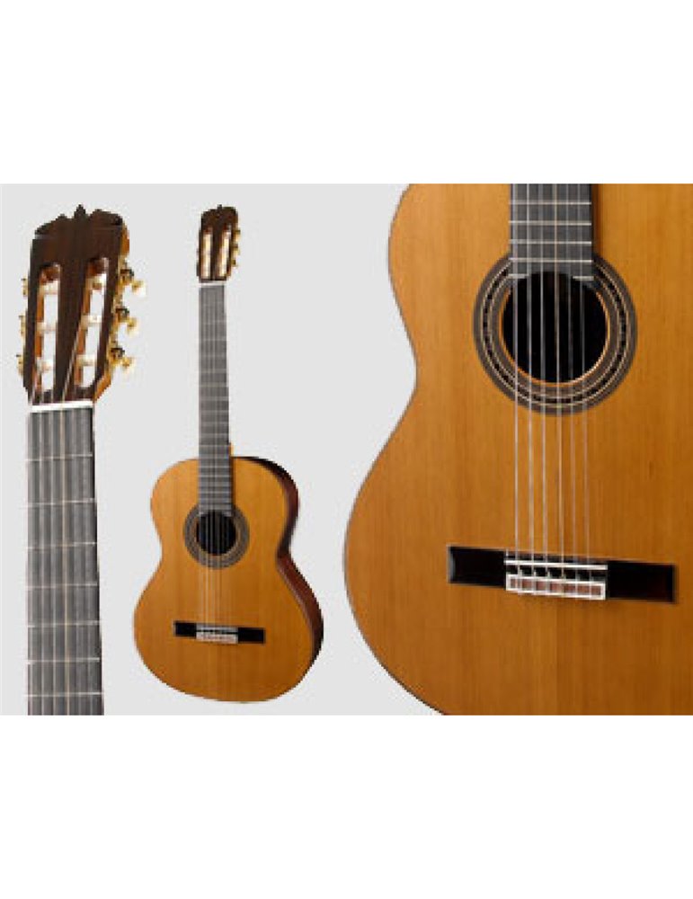 Guitarra Ramírez SPR-A Palosanto