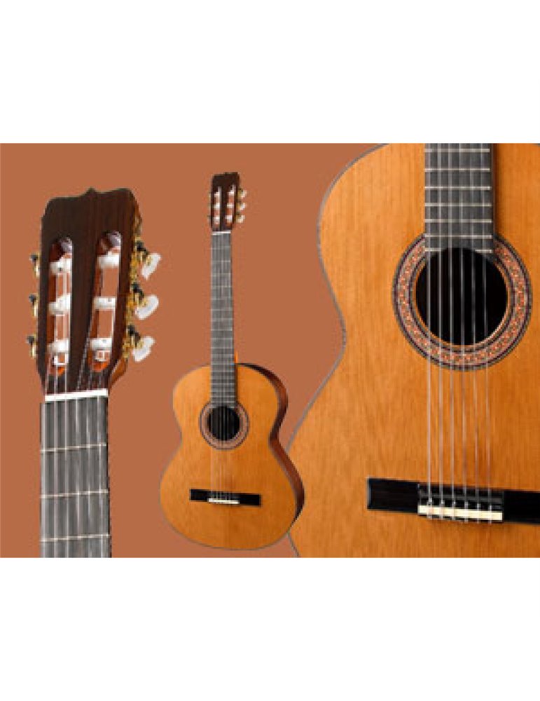 Guitarra Ramírez  RB Palosanto