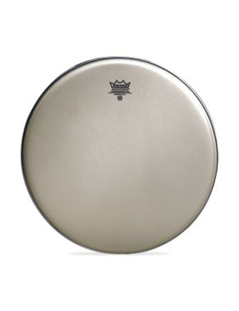 Parche Remo Ambassador Renaissance 14" RA-0014-SS