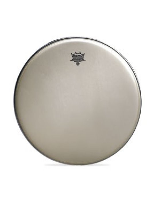 Parche Remo Ambassador Renaissance 14" RA-0014-SS