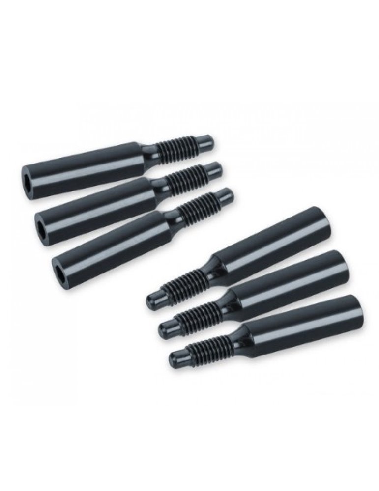 Recambios Floyd Rose Schaller Bolsa 6 Torn. Bloq. Cdas. Patin 20663000