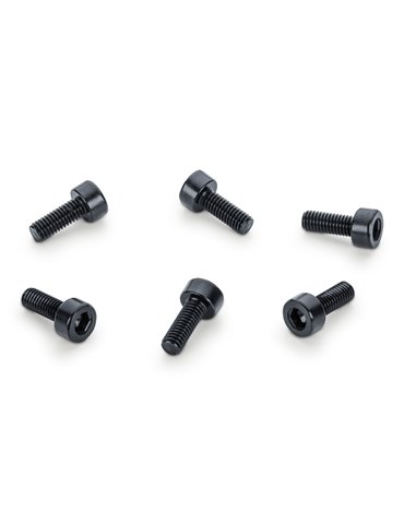 Recambios Floyd Rose Schaller Bolsa 6 Tornillos Bloq. Patin 20703000