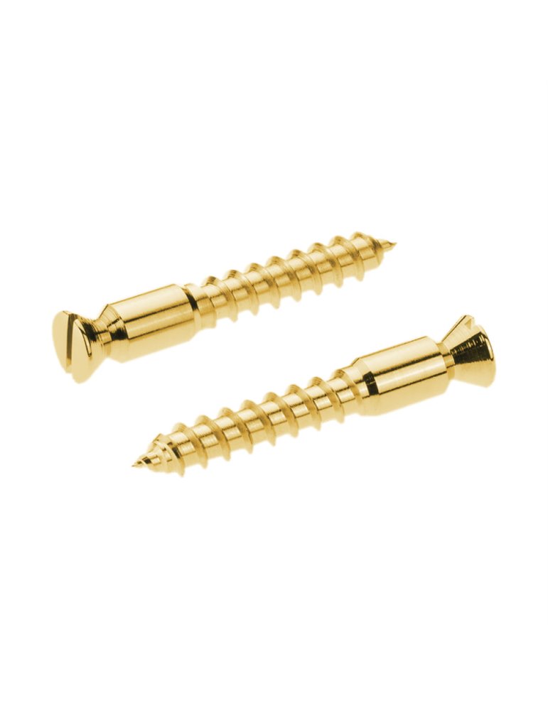 Recambios Floyd Rose Schaller 2 Torn. Pivote a Madera Dorado 20430500