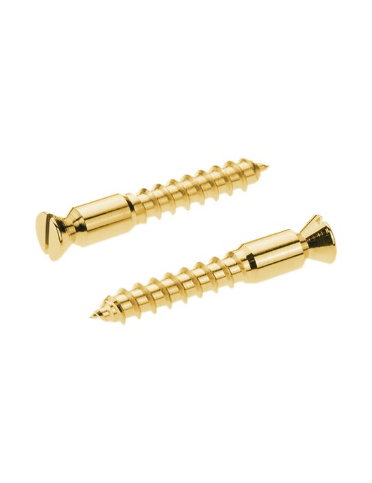 Recambios Floyd Rose Schaller 2 Torn. Pivote a Madera Dorado 20430500