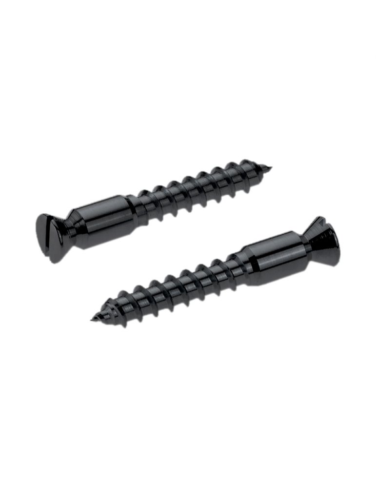 Recambios Floyd Rose Schaller 2 Torn. Pivote a Madera Negro 20430400