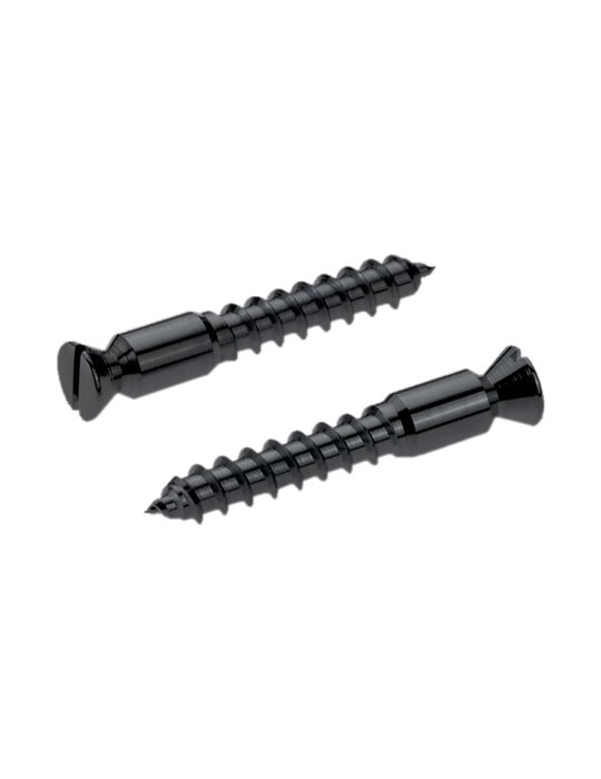 Recambios Floyd Rose Schaller 2 Torn. Pivote a Madera Negro 20430400