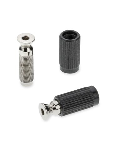 Recambios Floyd Rose Schaller 2 Tornillos Pivote Macho Crom 20120200