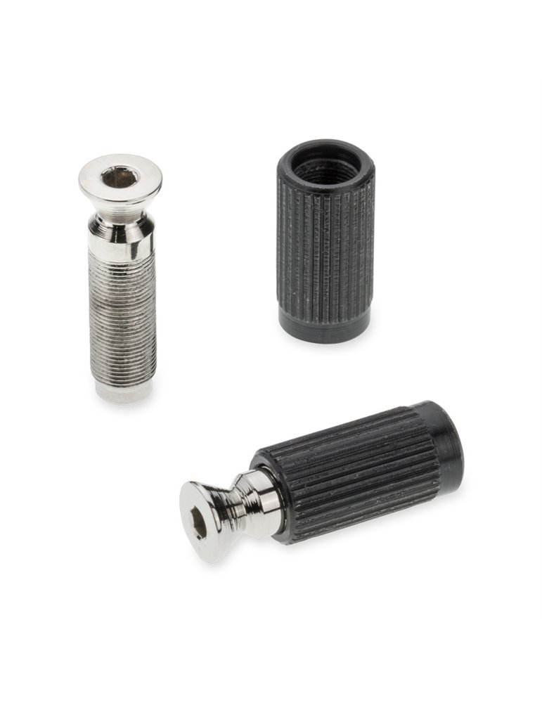 Recambios Floyd Rose Schaller 2 Tornillos Pivote Macho Crom 20120200