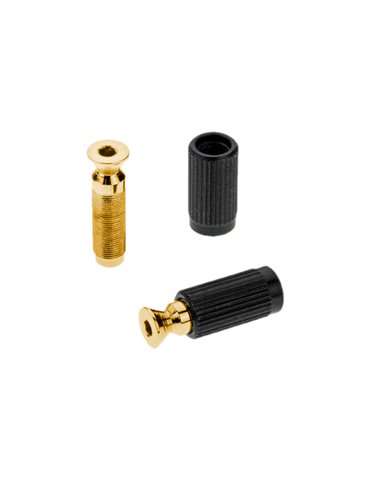 Recambios Floyd Rose Schaller 2 Tornillos Pivote Macho Dor. 20120500