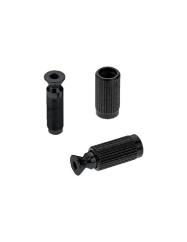 Recambios Floyd Rose Schaller 2 Tornillos Pivote Macho Negro 20120400