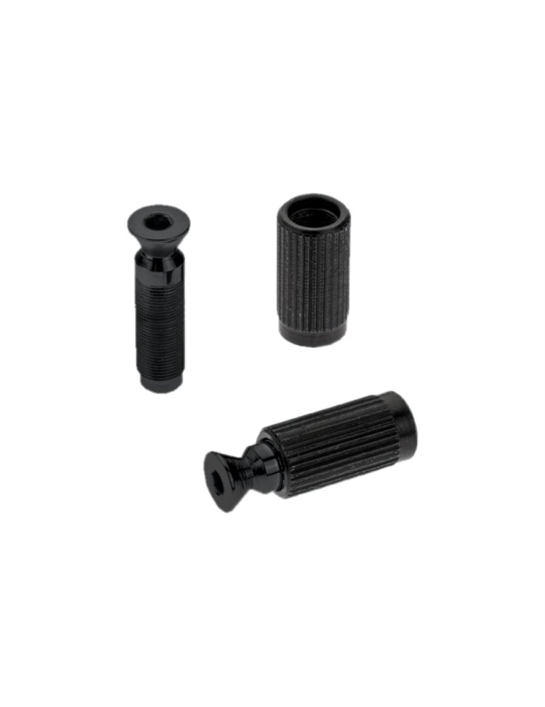 Recambios Floyd Rose Schaller 2 Tornillos Pivote Macho Negro 20120400