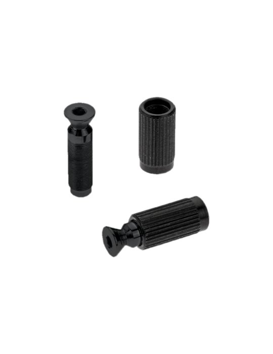 Recambios Floyd Rose Schaller 2 Tornillos Pivote Macho Negro 20120400