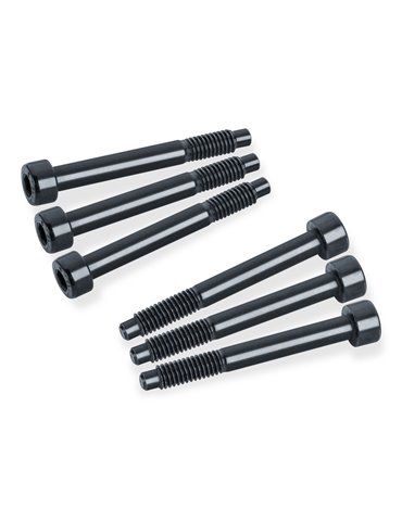 Recambios Floyd Rose Schaller Kit 6 Tornillos Bloq. Puente 20613002