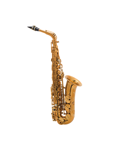 Saxo Alto Reference Goldmessing Grab.DGG