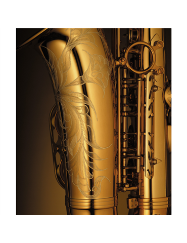 Saxo Alto Reference Goldmessing Grab.DGG 2