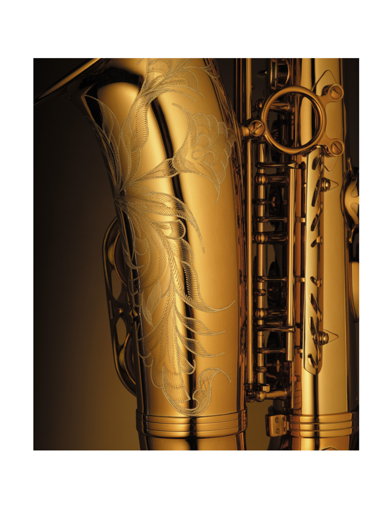 Saxo Alto Reference Goldmessing Grab.DGG