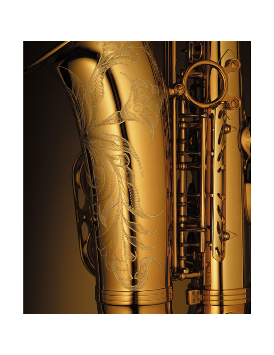 Saxo Alto Reference Goldmessing Grab.DGG