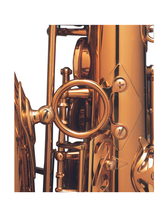 Saxo Alto Reference Goldmessing Grab.DGG