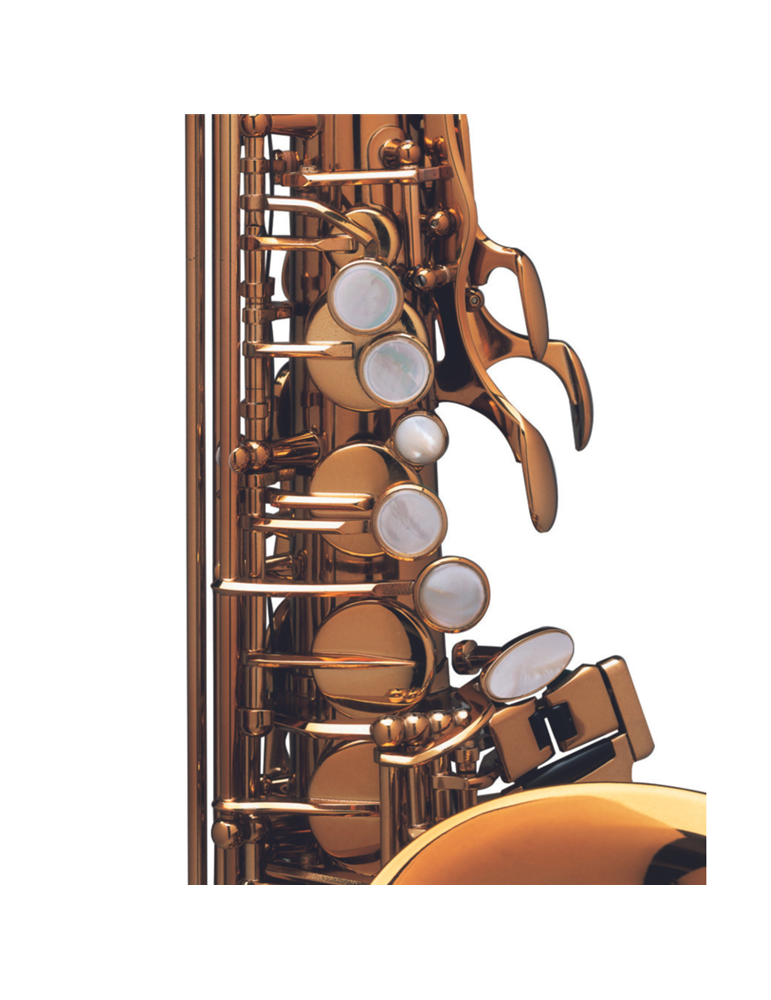 Saxo Alto Reference Goldmessing Grab.DGG