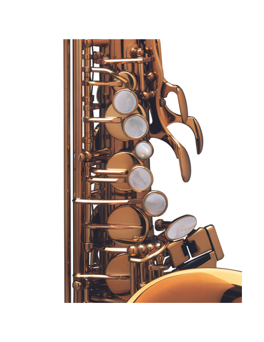 Saxo Alto Reference Goldmessing Grab.DGG