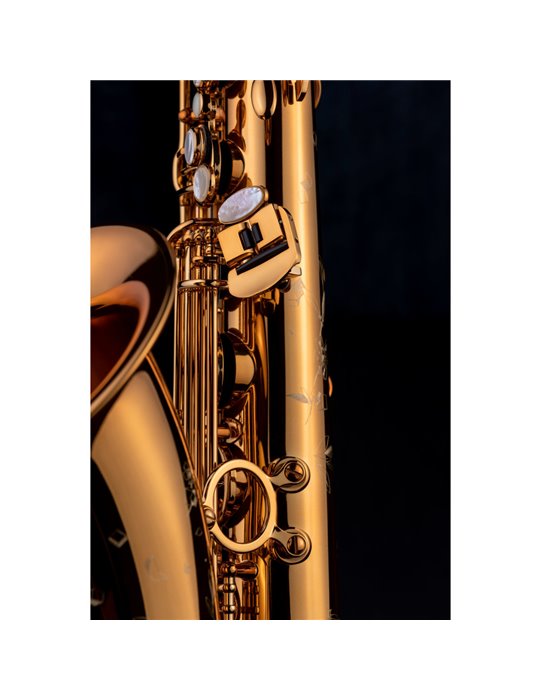 Saxo Tenor Selmer Supreme Dorado Lacado Grabado (VG)