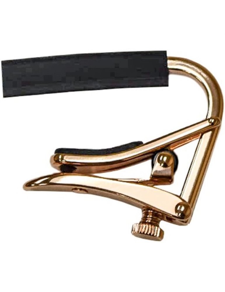 Cejilla Shubb C-2G ROSE Recta Oro Rosa