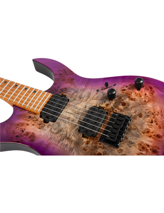 Guitarra Eléctrica Spira S450-TPP Transparent Purple