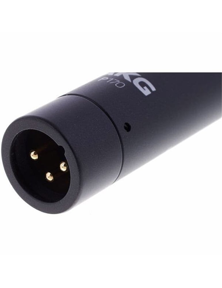 Micrófono Condensador P170 Profesional con patrón Polar Cardioide