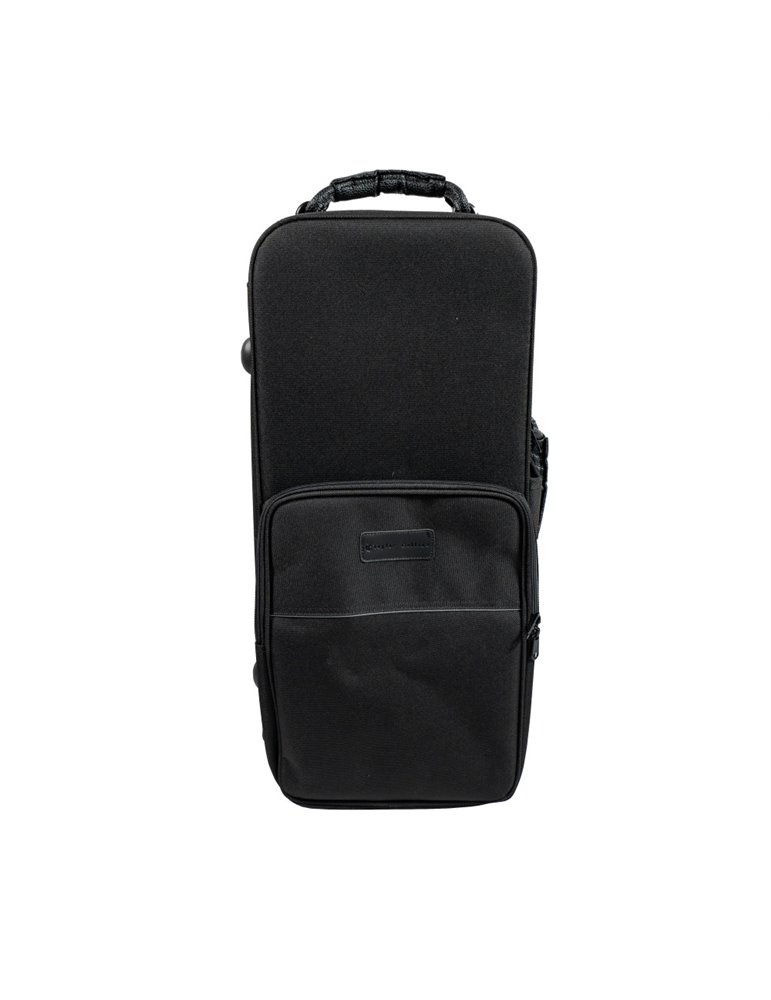 Saxo Alto Taylor Collins SA-1 Lacado mate