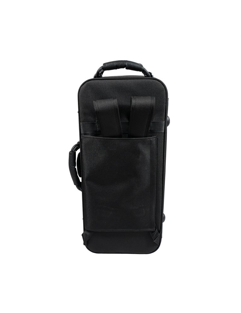 Saxo Alto Taylor Collins SA-1 Lacado mate