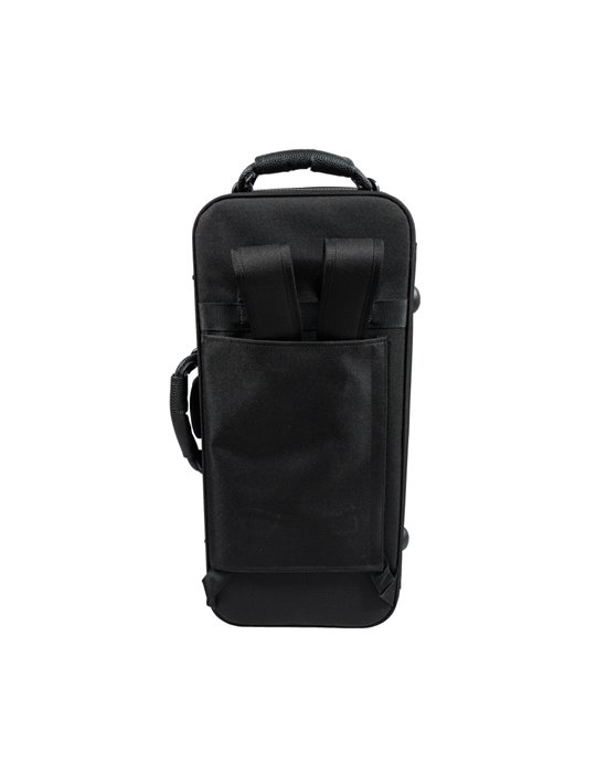 Saxo Alto Taylor Collins SA-1 Lacado mate