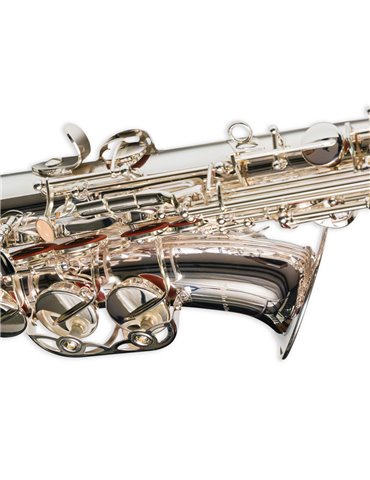 Saxo Alto Taylor Collins TCAS-09 Plateado 2