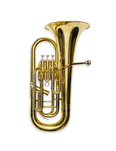 Bombardino Taylor Collins TCEU-193 Lacado 3+1 Sib