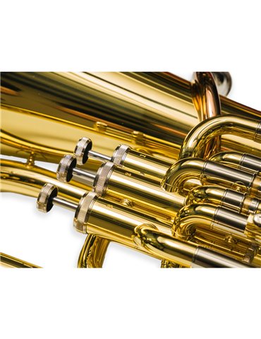 Bombardino Taylor Collins TCEU-193 Lacado 3+1 Sib 2