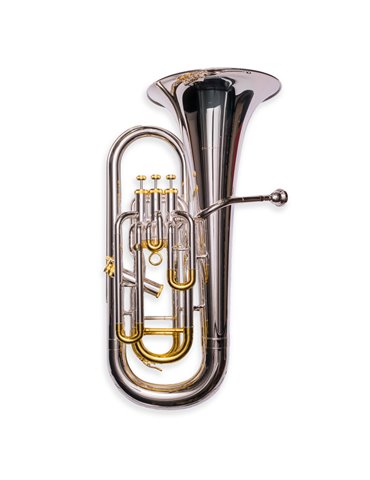 Bombardino Taylor Collins TCEU-193GS Plateado 3+1 Sib