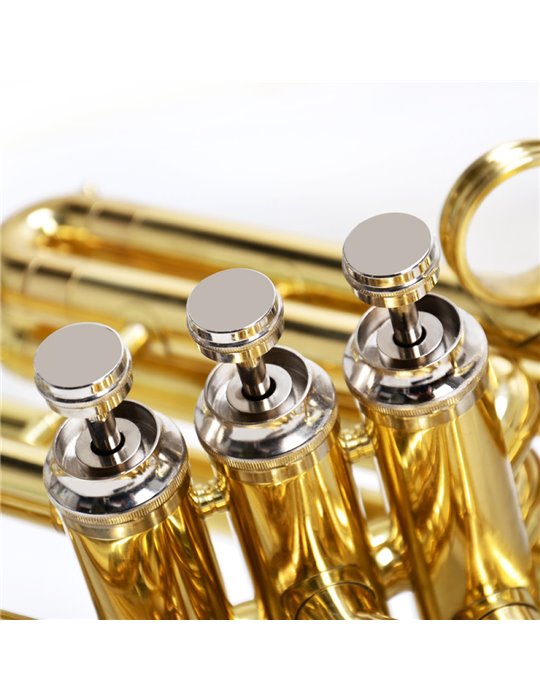 Sousafón Taylor Collins TCSA-12