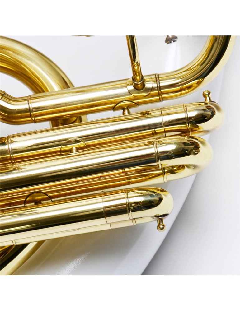 Sousafón Taylor Collins TCSA-12