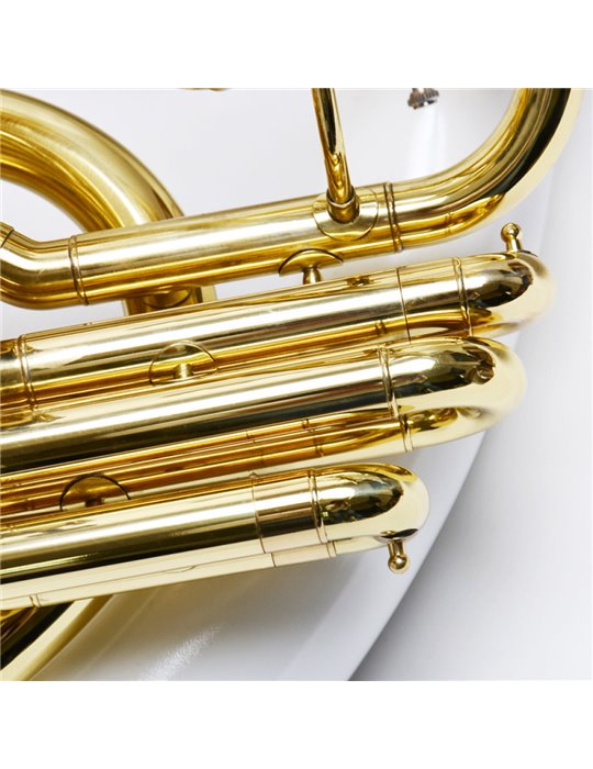 Sousafón Taylor Collins TCSA-12