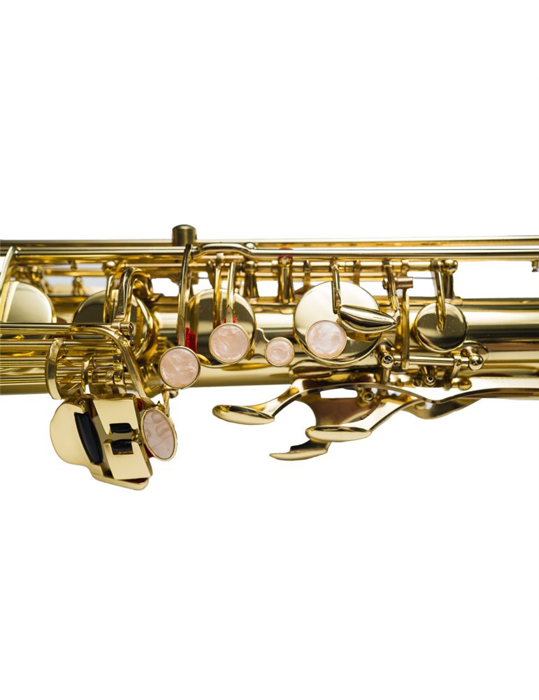 Saxo Tenor Taylor Collins TCTS-01 Lacado