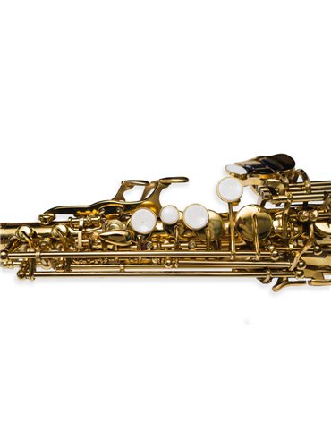 Saxo Soprano Recto Taylor Collins TCSP-01 Lacado 2