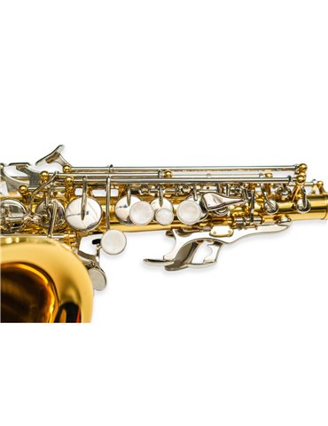 Saxo Soprano Curvo Taylor Collins TCSP-06 Lacado 2