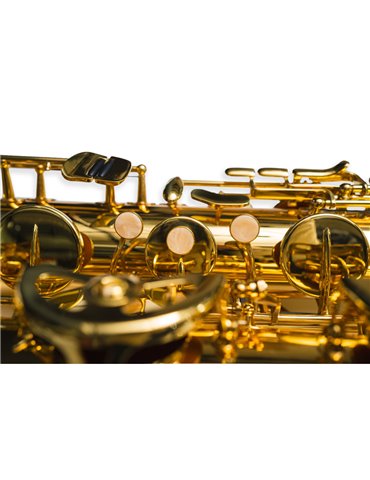 Saxo Barítono Taylor Collins TCBS-110 Lacado 2