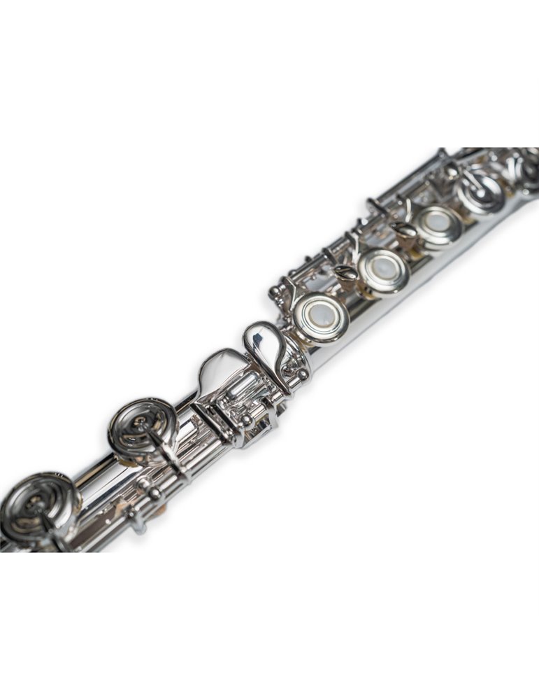 Flauta Travesera Taylor Collins TCFL-610 Platos Abiertos en Do