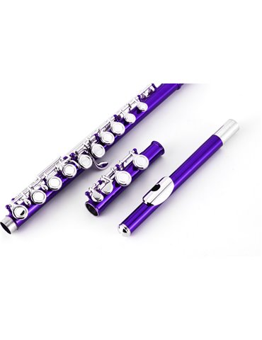 Flauta Travesera Taylor Collins TCFL-538PR Platos Cerrados Púrpura