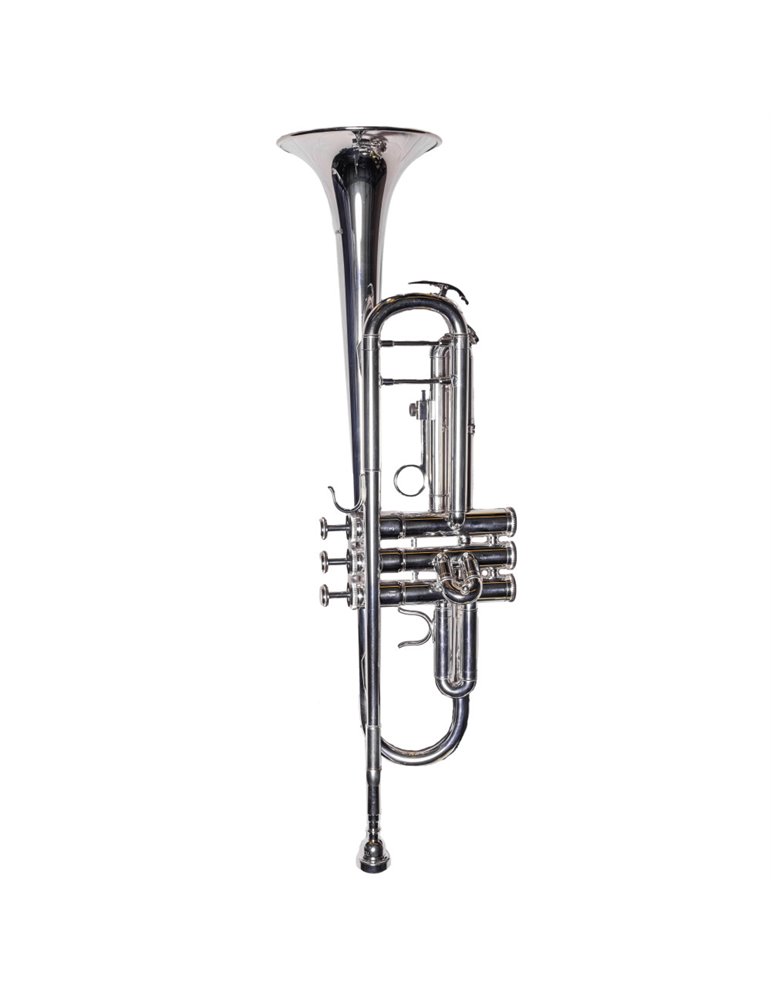 Trompeta Taylor Collins TCTR-01HD Plateada en Sib