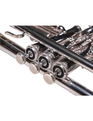 Trompeta Taylor Collins TCTR-01HD Plateada en Sib 2