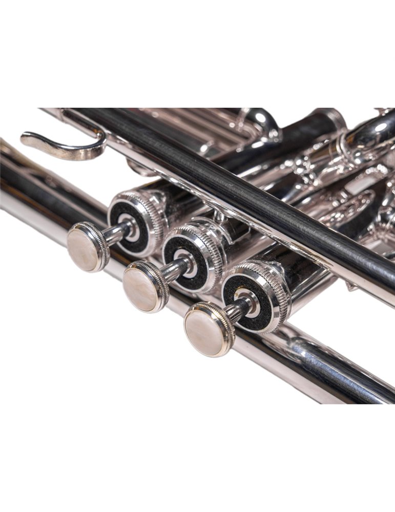 Trompeta Taylor Collins TCTR-01HD Plateada en Sib