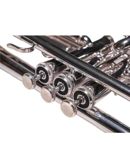 Trompeta Taylor Collins TCTR-01HD Plateada en Sib