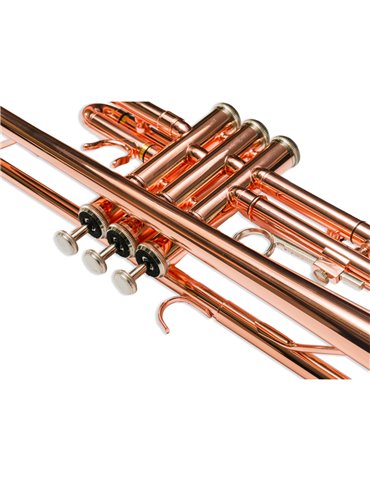 Trompeta Taylor Collins TCTR-01RB Lacada Rosa en Sib 2