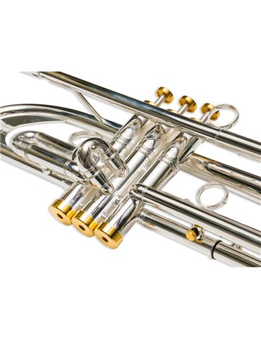 Trompeta Taylor Collins TCTR-069BH Plateada con Pistones Monel en Sib 2